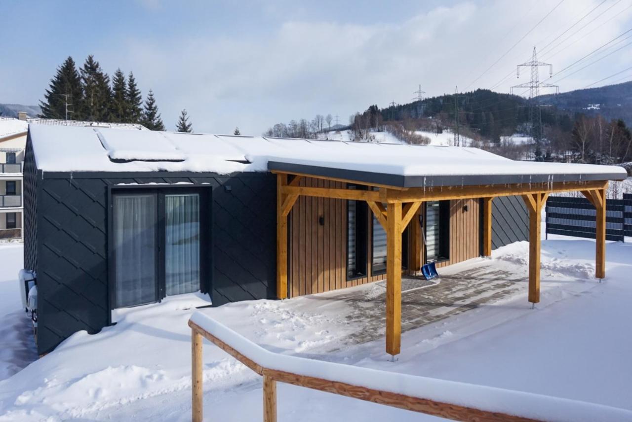 Chalet Stuhleckblick-Ferienhaus Direkt An Der Piste Und Mit Eigener Sauna Spital am Semmering Exteriör bild
